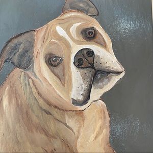 RIKKISRATPACK portrait of Darla the English Bulldog
